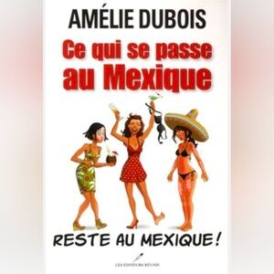 💥5/20$ Amélie Dubois Book Cover